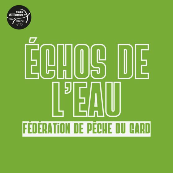 échos de l'eau