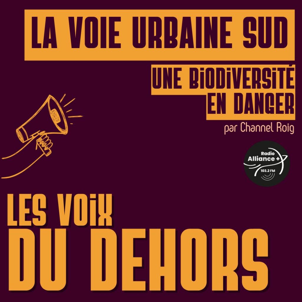 LA VOIE URBAINE SUD LA VOIE URBAINE SUD