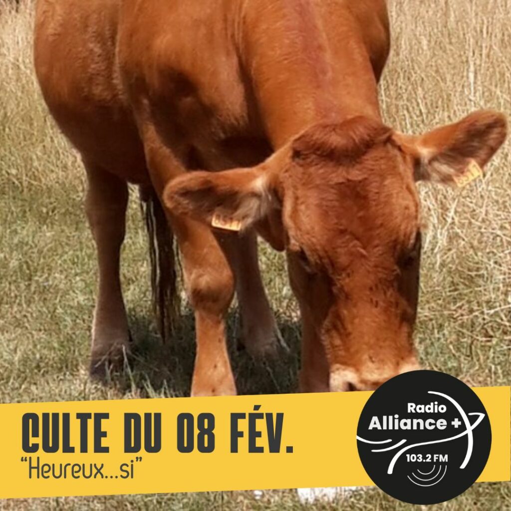 Culte du 08 février :"Heureux...si"