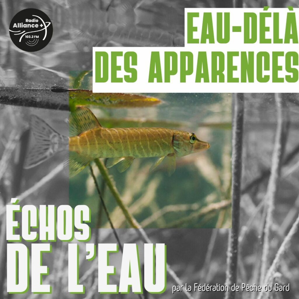 Eau-délà des apparences Eau-délà des apparences