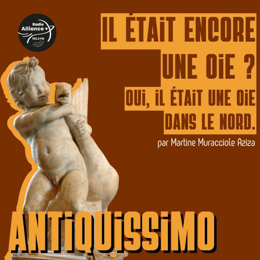 Il était encore une oie ? oui, il était une oie dans le Nord.