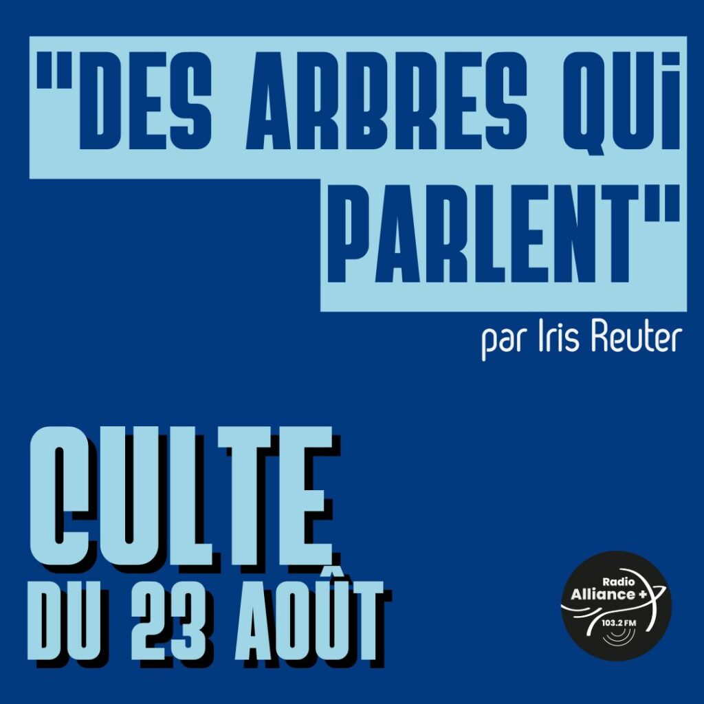 Culte du 23 août : "Des arbres qui parlent" Culte du 23 août : "Des arbres qui parlent"